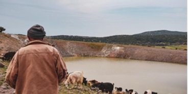 100-goletle-hayvanlara-can-suyu.jpg