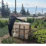 100 kişilik dev ekip, vektörle mücadele için sahada