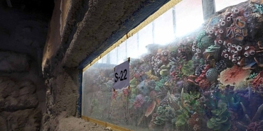 30-farkli-akvaryum-essiz-bir-gezi-yasatacak.jpg