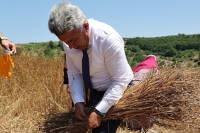 40-yil-aradan-sonra-kandirada-keten-uretimi-yeniden-basladi.jpg