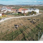 572 Fidanlı Koruluk Akhisar’a Nefes Olacak