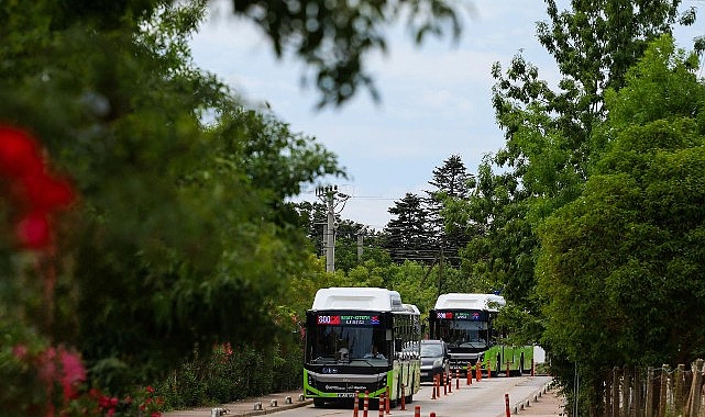 800ckda-tum-yollar-kandira-sahillerine-cikacak.jpg
