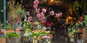 Antalya çiçekçi (16)