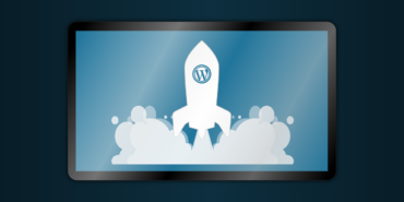 Wordpress Uzmanı (2)