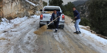 antalya-buyuksehir-ekiplerinden-buz-tutan-yollarda-tuzlama-calismasi.jpg
