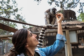 antalya-dogal-yasam-parkinda-yavru-lemur-sevinci.jpg