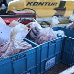 Antalya otogarında 270 kilo uygunsuz taşınan et bulundu