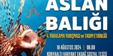 aslan-baligi-yakalama-yarismasi.jpg