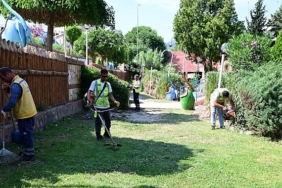 aydin-buyuksehir-belediyesinden-sokede-cevre-duzenleme-ve-peyzaj-calismasi.jpg