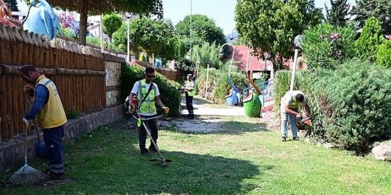 aydin-buyuksehir-belediyesinden-sokede-cevre-duzenleme-ve-peyzaj-calismasi.jpg