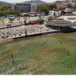 ayvalik-belediyesi-plajlarinda-gondere-mavi-bayrak-cekildi.jpg