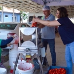 Ayvalık’ta Salça Zamanı Başlıyor!