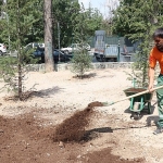 Bahriye Üçok Parkı yenilendi