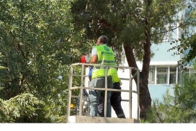 bakirkoy-belediyesi-ekipleri-kurtardi.jpg