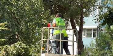 bakirkoy-belediyesi-ekipleri-kurtardi.jpg