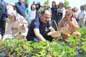 baskan-altay-2027-yili-tarimsal-destek-basvurularinin-1-temmuzda-baslayacagini-duyurdu.jpg