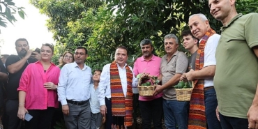 baskan-bocekten-avokado-ve-mango-hasadi.jpg