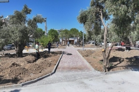 baskan-hatice-gencayin-secim-vaatleri-arasinda-yer-alan-zeytin-park-didimin-yeni-yasam-alanlarindan-biri-olmaya-hazirlaniyor.jpg