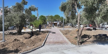 baskan-hatice-gencayin-secim-vaatleri-arasinda-yer-alan-zeytin-park-didimin-yeni-yasam-alanlarindan-biri-olmaya-hazirlaniyor.jpg