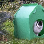 Başkan Tugay söz verdi, kediler sıcak yuvalarına kavuştu