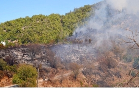 baskan-vekili-ozdemir-yangin-bolgesinde.jpg