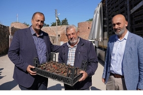 bayram-oncesi-iznikte-mezarliklar-cicek-aciyor.jpg