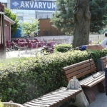 bayrampasada-sineklere-karsi-yogun-mesai.jpg