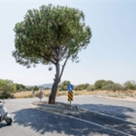 bergamada-yollar-yenileniyor-ulasim-daha-guvenli-hale-geliyor.jpg