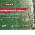 besiktastaki-kanserli-agaclara-budama.jpg