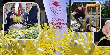 beydagda-kozalar-ipek-acti.jpg