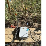 BİLGİ’li öğrencilerden sürdürülebilir tarıma katkı: Elektronik Kontrollü Damla Sulama Sistemi