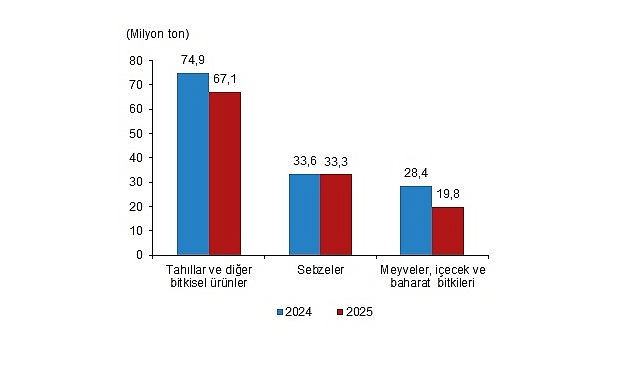 bitkisel-uretim-2-tahmini-2025.jpg
