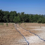bornovada-atil-topraklar-hayat-buluyor.jpg