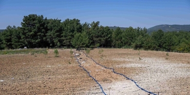 bornovada-atil-topraklar-hayat-buluyor.jpg
