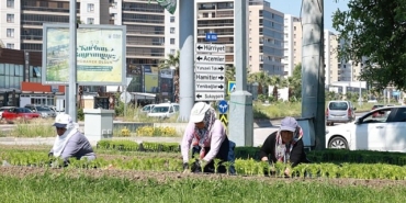 bu-yaz-osmangazide-cicek-kokulari-eksik-olmayacak.jpg