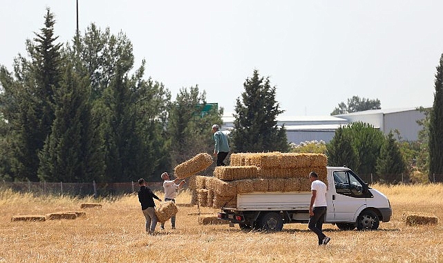 buca-belediyesinden-hayvanciliga-can-suyu.jpg