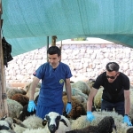 bucada-kurban-bayrami-oncesi-siki-denetim.jpg