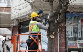 budama-calismalarindan-yakacak-elde-ediliyor.jpg