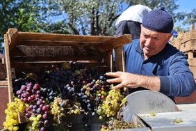 Büyükşehir’den üzüm üreticilerine makine desteği