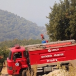 buyuksehir-ekipleri-orman-yanginina-mudahale-ediyor.jpg