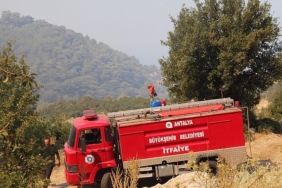 buyuksehir-ekipleri-orman-yanginina-mudahale-ediyor.jpg
