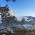buyuksehir-ekiplerinden-akhisardaki-yangina-mudahale.jpg