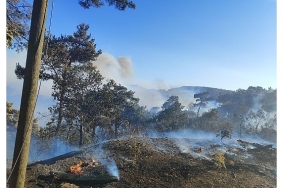buyuksehir-ekiplerinden-akhisardaki-yangina-mudahale.jpg
