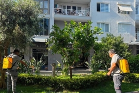 buyuksehirden-kemer-liman-caddesinde-bakim-onarim-calismasi.jpg