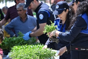 buyuksehirden-salihlili-ureticilere-34-bin-sebze-fidesi.jpg