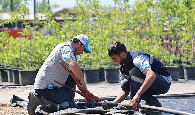 buyuksehirin-fidanligi-kocaelini-yesillendiriyor.jpg