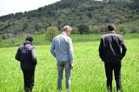 buyuksehirin-toprakla-bulusan-tohumlari-yeserdi.jpg