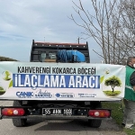 Canik’te Kokarca Böceğine Karşı Mücadelede Atak