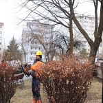 Çankaya’da Budama Çalışmaları Bahar Öncesi Hız Kazandı