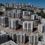 ceditte-mujde-sevinc-ve-mutluluk.jpg